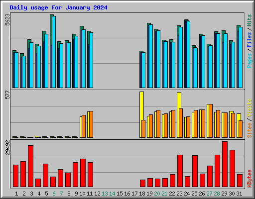 Daily usage for January 2024