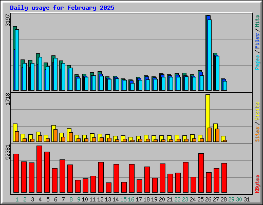 Daily usage for February 2025