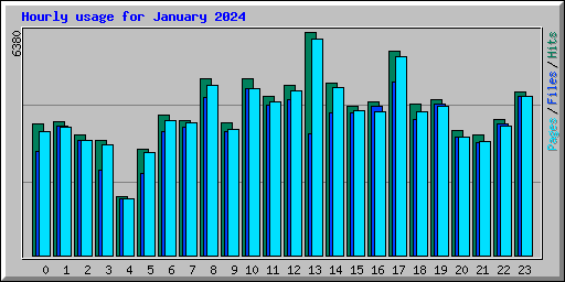Hourly usage for January 2024