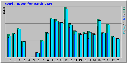 Hourly usage for March 2024