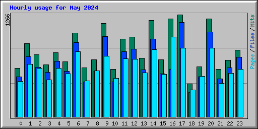 Hourly usage for May 2024