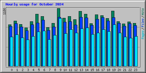Hourly usage for October 2024