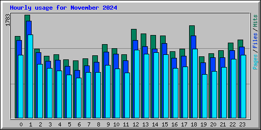 Hourly usage for November 2024