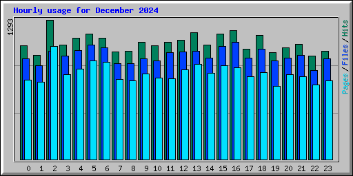 Hourly usage for December 2024