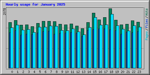 Hourly usage for January 2025