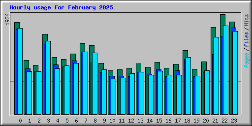 Hourly usage for February 2025