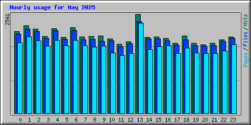 Hourly usage for May 2025