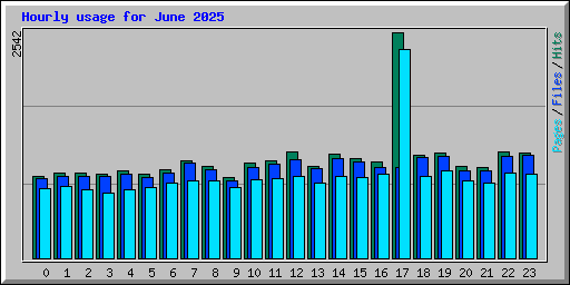 Hourly usage for June 2025