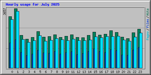 Hourly usage for July 2025