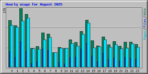 Hourly usage for August 2025