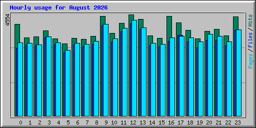 Hourly usage for August 2026